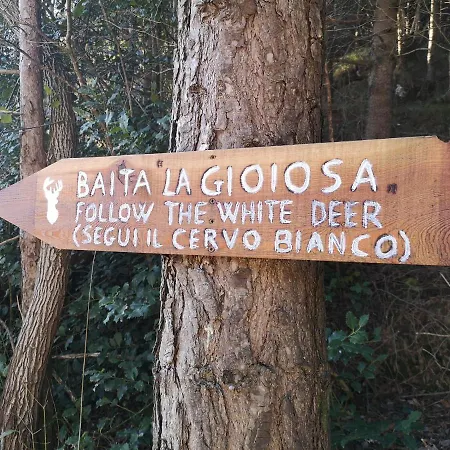 La Gioiosa * Livemmo